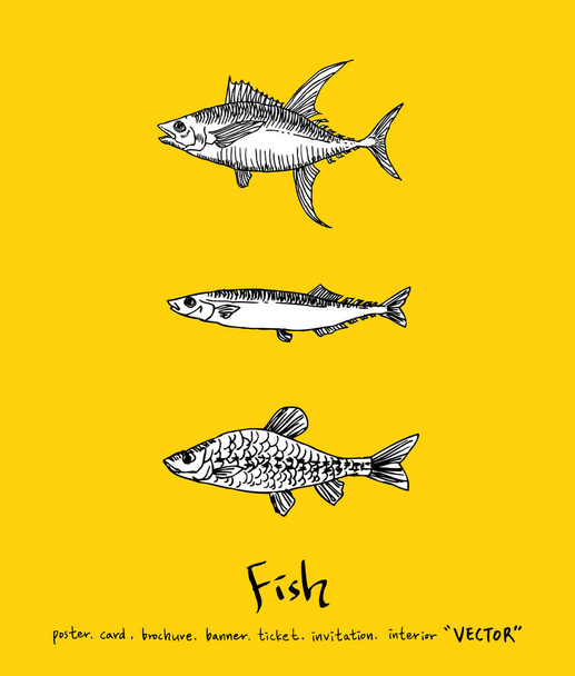Sea food menu illustrations / Hand drawn food ingredients - vector - Vector, Image
