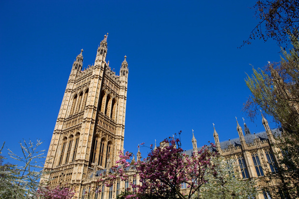 Parliament - Photo, Image