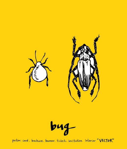 Bug sketch / Hand drawn insect illustration - vector - Διάνυσμα, εικόνα