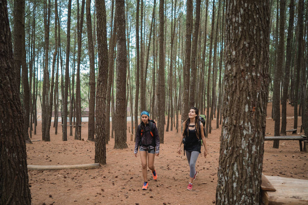 two young female hiker walking in beautiful nature landscape in mountains - Fotó, kép