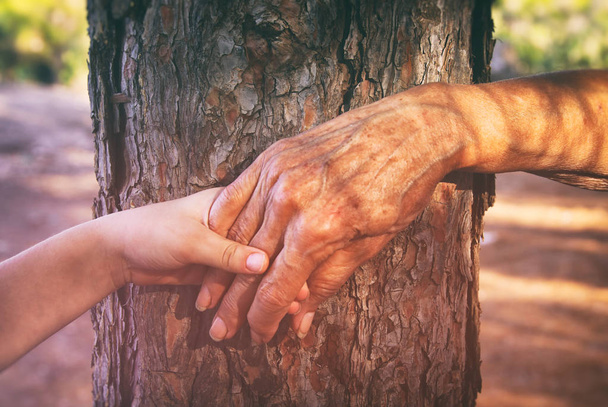 Zdjęcia starych, Kobieta i dziecko trzymając się za ręce razem poprzez spacer w lesie - Zdjęcie, obraz