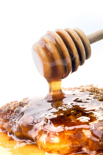 Honey dripper and honeyconb - Foto, Bild