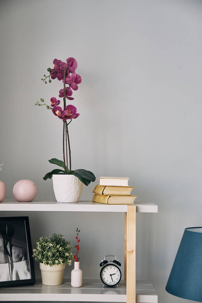 lilac flower is in a pot on the shelf. Modern interior.  - Photo, Image