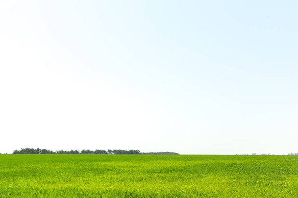 scenic view of green field at countryside - Foto, Bild