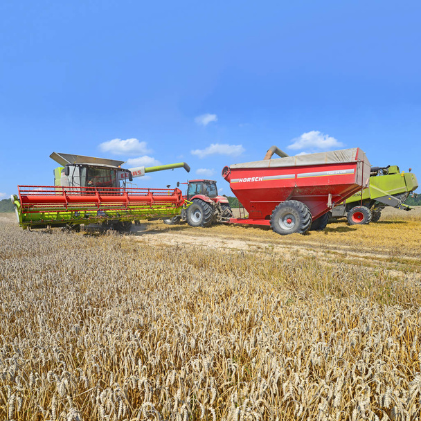 Overloading grain harvester into the grain tank of the tractor trailer. - Valokuva, kuva
