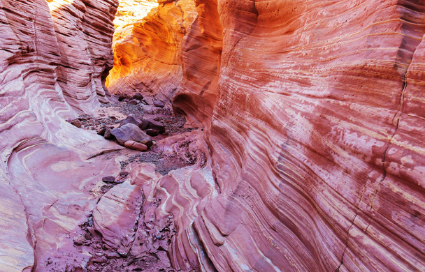 Slot canyon nel Grand Staircase Escalante National park, Utah, USA. Formazioni di arenaria colorate insolite nei deserti dello Utah sono meta popolare per gli escursionisti. - Foto, immagini