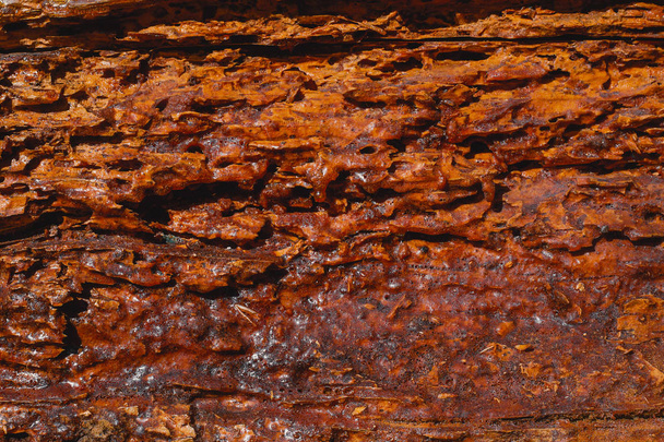 Texture del vecchio legno rovinato danneggiato dal tarlo
 - Foto, immagini