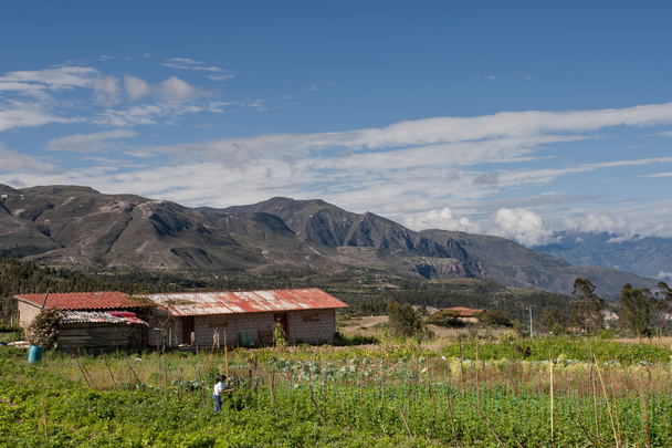 Finca (Bauernhof) auf der Straße nach Saraguro, Ecuador - Foto, Bild