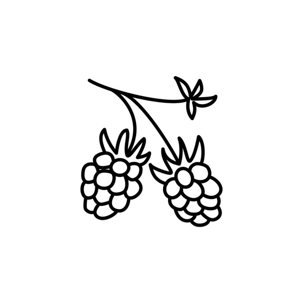 有機ラズベリーの黒・白のベクター イラストです。新鮮な果実と葉の線のアイコン。菜食・ ベジタリアン料理。健康食のフルーツの成分。白い背景の上の孤立したオブジェクト.  - ベクター画像