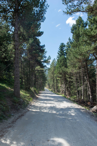 Folyó-az út a Montgarri az Aran-völgyben, Spanyolország - Fotó, kép