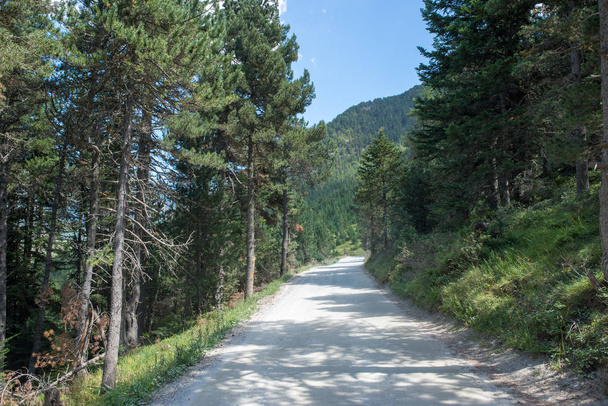 Rivier op de weg naar Montgarri van de vallei Aran, Spanje - Foto, afbeelding