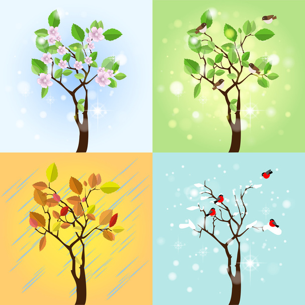 Four Seasons Tree. Vector - Vector, Image
