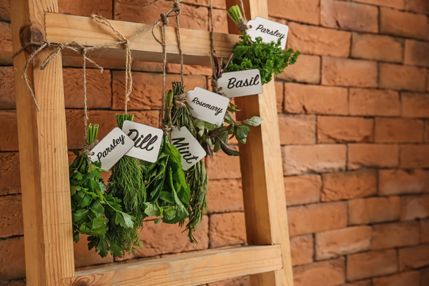 Wooden ladder with different fresh herbs hanging on string indoors - 写真・画像