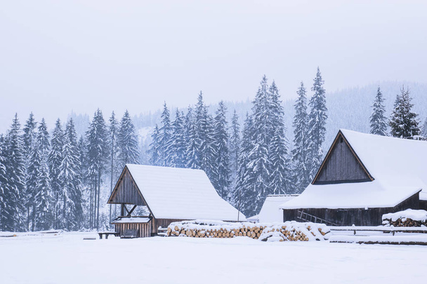 Two wooden house stands on a snowy valley, a mountain in the background and a snow-covered pine forest in the fog - Fotó, kép