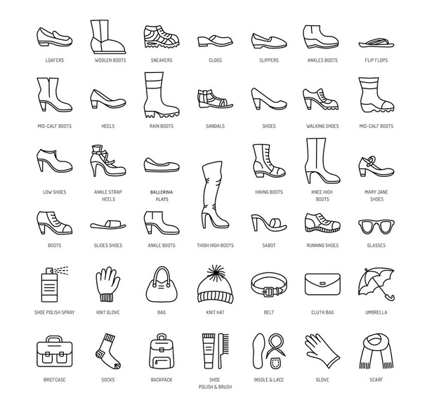 Chaussures et accessoires pour femmes. Ensemble d'icônes de ligne vectorielle. Différents styles de chaussures. Talons, bottes, baskets, sandales, appartements. Sac, gant, lunettes de soleil, parapluie, chapeau, écharpe, chaussette
  - Vecteur, image
