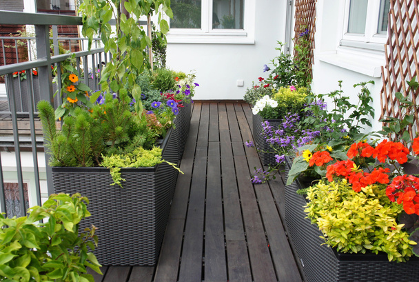 Современная красивая терраса с большим количеством цветов
 - Фото, изображение