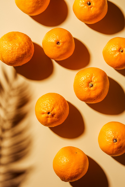Top view of tangerines and twig shadow on beige backdrop - Photo, image