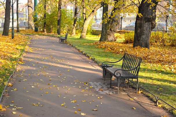 autumn Park with fallen leaves and a bench - Valokuva, kuva