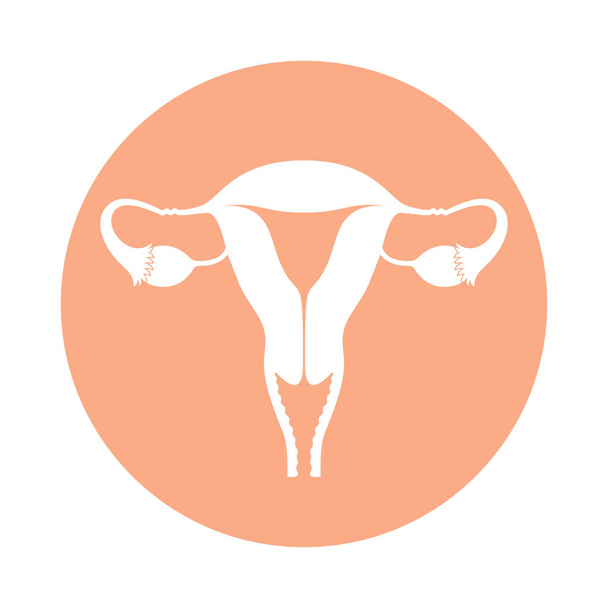 Icono órganos reproductores femeninos. Signo de útero en círculo rosa aislado sobre fondo blanco. Símbolo del sistema reproductor femenino en un estilo plano. Stock vector ilustración
.  - Vector, imagen