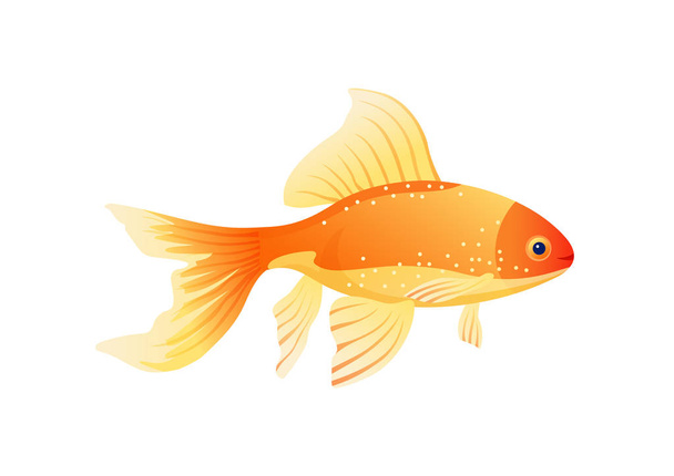 Golden Fish Isolated on White Background Poster - Vector, Image