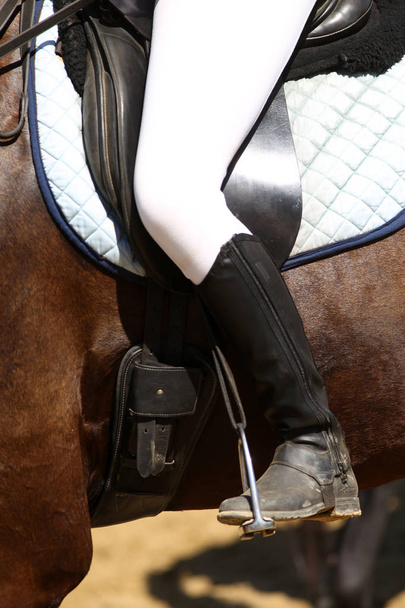 Спортивный конь крупным планом с неизвестным всадником под кожаным седлом на соревнованиях по конкуру
 - Фото, изображение