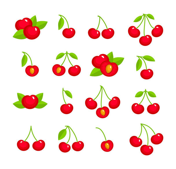 Värikäs vektori kuva punainen kirsikka varsi & lehdet. Tasainen kuvake joukko orgaanisia tuoreita marjoja. Vegaani & kasvisruoka. Terveys syö hedelmiä ainesosia. Eristetyt kohteet valkoisella pohjalla
.  - Vektori, kuva