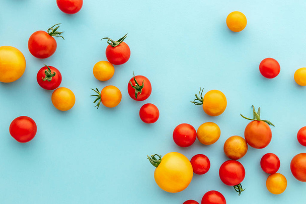 Tomates cerises biologiques colorées sur fond bleu, tomates cerises rouges et dorées Plum Holland
 - Photo, image
