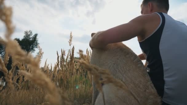 Ein unkenntlich gemachter Mann sitzt auf einer Wiese und streichelt seinen Labrador im Sommer. Junge Kerl verbringt Zeit mit seinem Haustier in der Natur. junger Mann mit Hund genießt die Ruhe. Zeitlupe aus nächster Nähe - Filmmaterial, Video