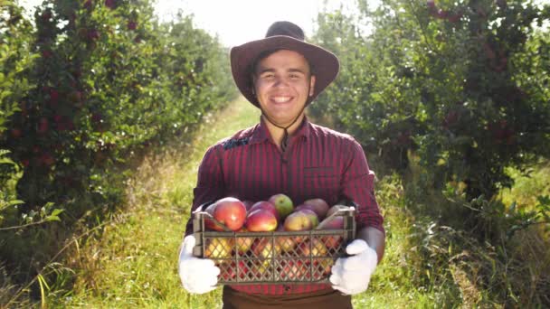 Portrét radost zemědělce v klobouku, stojící u apple garden - Záběry, video