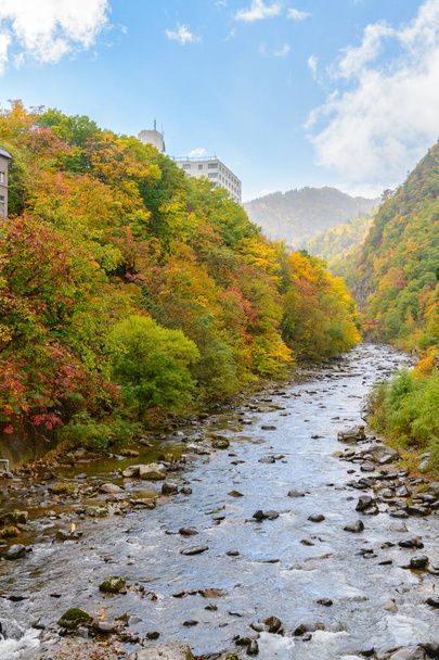 барвистий ліс на осінній сезон в Jozankei, знаменитий plase в Хоккайдо, Японія. - Фото, зображення