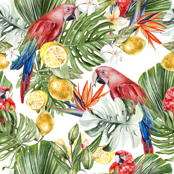 Beautiful watercolor tropical pattern with leaves, flowers, fruits and parrots
.  - Фото, изображение