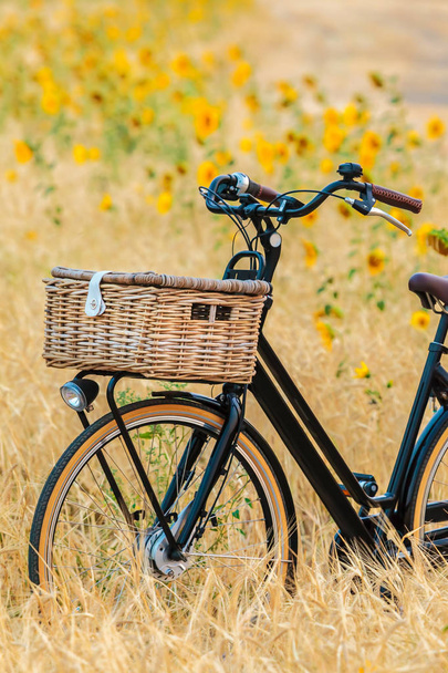 Bicicleta holandesa de carga eléctrica negra con cesta delante de un campo con girasoles en flor
 - Foto, imagen