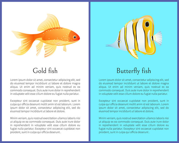 Cartel colorido de mariposas y peces dorados con texto
 - Vector, imagen