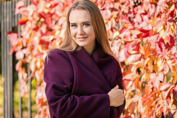 秋の公園で美しい若い女性の肖像画 - 写真・画像
