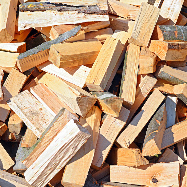 pile of wood logs, timber background - Foto, immagini