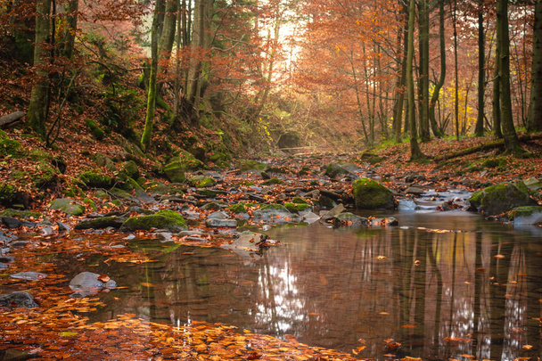 Pequena cachoeira de montanha no outono. Uma bela paisagem cheia de paz. Olhando para este riacho de montanha você pode relaxar e pensar
.  - Foto, Imagem