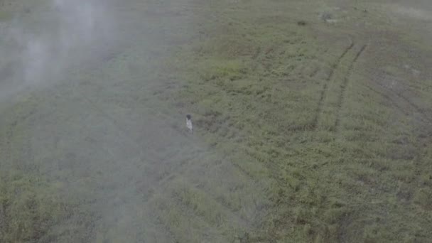 Disparos aéreos chica joven en vestido blanco corriendo en un campo de hierba en la niebla
 - Imágenes, Vídeo