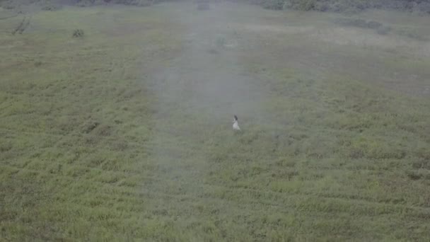Disparos aéreos chica joven en vestido blanco corriendo en un campo de hierba en la niebla
 - Imágenes, Vídeo