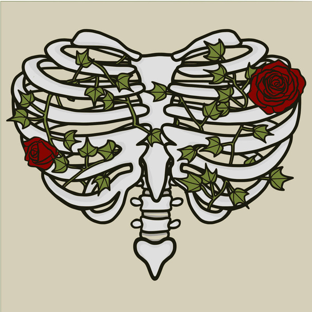 Heart Shaped Rib Cage Illustration Roses and Ivy - Vector, Image