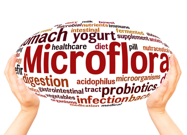 Microflora word cloud concept op witte achtergrond. - Foto, afbeelding