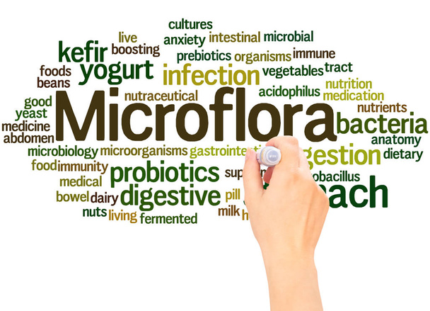 Microflora palabra nube mano escritura concepto sobre fondo blanco
.  - Foto, imagen