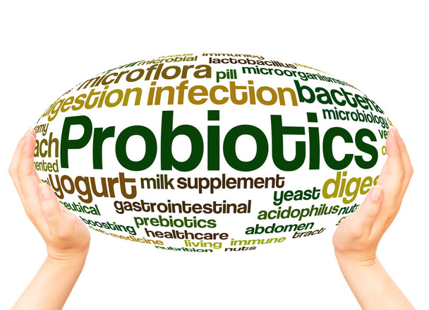 Probiotikumok szó felhő kézzel gömb fogalmát, fehér háttér.  - Fotó, kép