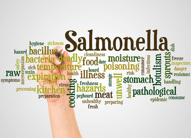 Salmonella nuvem de palavras e mão com conceito de marcador no fundo branco
. - Foto, Imagem
