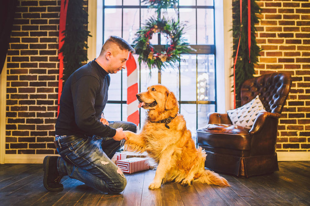 Freundschaft zwischen Mensch und Hund. Haustier Golden Retriever Rasse Labrador zotteligen Hund. Ein Mann trainiert, bringt einem Hund bei, eine Pfote zu geben, an Weihnachten zu Hause Befehle auszuführen. - Foto, Bild