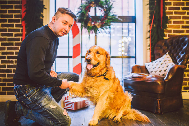 人と犬の友情。ペットのゴールデンレトリーバーは、ラブラドールの毛むくじゃらの犬を繁殖させます。男の列車、クリスマスに家でコマンドを実行する、足を与える犬を教えています。. - 写真・画像