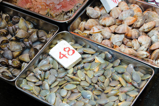 Verkauf von frischen Meeresfrüchten, Tabletts mit verschiedenen Muscheln - Manila, Surfmuscheln, Meeresquahogs, Nahaufnahme. hong kong. - Foto, Bild