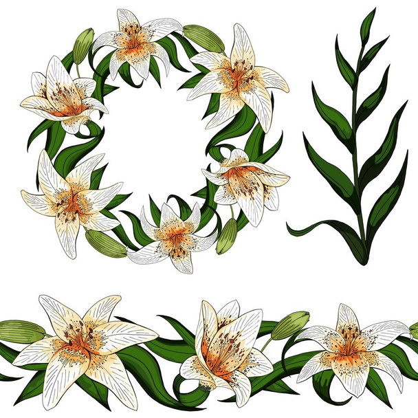 Elementen instellen elegante lily tiger type realistische bloemen vector - Vector, afbeelding