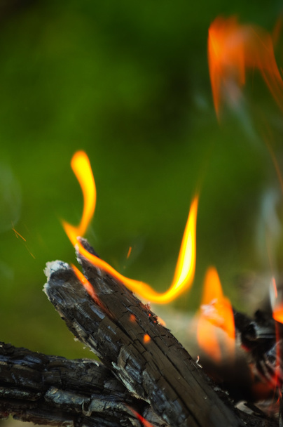Holz und Feuer - Foto, Bild