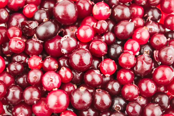 Red ripe cranberries background - Foto, imagen