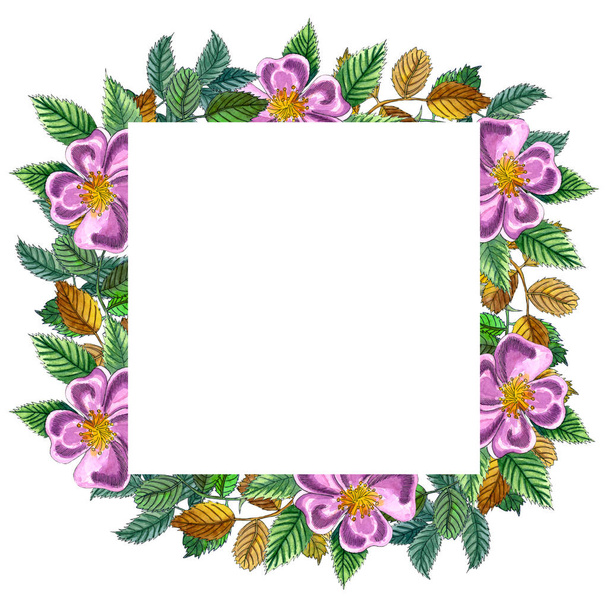 Watercolor wreath with branch of Dog rose, red berries, blooming flowers and green leaves. Hand painted briar and hips isolated on white background. Illustration for design, print or background - Foto, Imagen